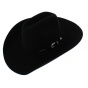 Cowboy Cattleman revolver Stetson hat