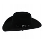 Cowboy Cattleman revolver Stetson hat