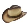 Chapeau Cowboy Brown Wasteland Paille Papier - Traclet Reference : 7768 | Chapellerie Traclet