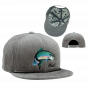 Fish Flat Visor Cap The Wilderness - Coal