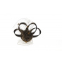 Ceremony comb - Brown Lola