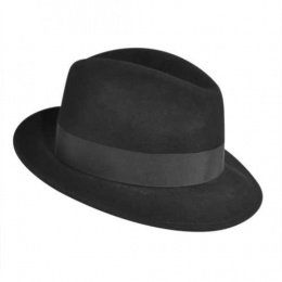 Biscoe vitafelt Stetson