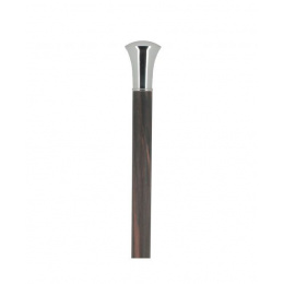 Cane sword with pommel