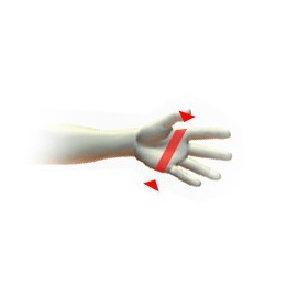 Women's Leather & Cashmere Gloves - Picaros