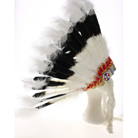 Native American headdress Native American headdress