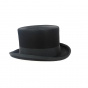 Beaver Top Hat