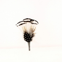 copy of hat
