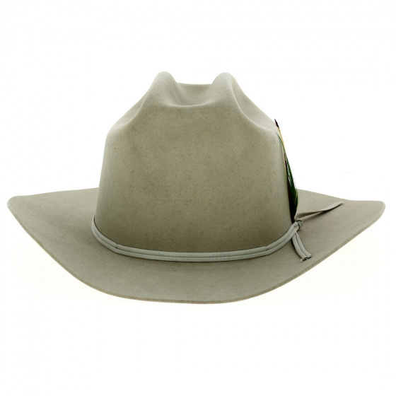 Chapeau Cowboy Olly Feutre Poil Sable - Stetson