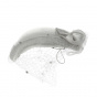 EDY Paradis White or Ecru Ceremony Hat