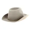 Chapeau CowBoy Duke Wolf Beige - Brixton