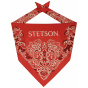 Fancy bandana - Stetson