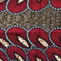 Red & Ochre Peacock Feather Hood - Traclet