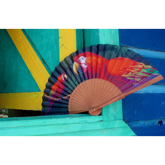 Jaco Traclet fan - Vera Pilo Jaco Traclet fan - Vera Pilo