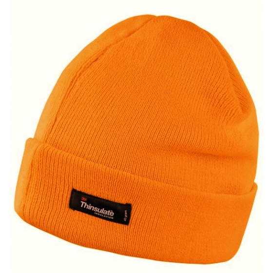 Bill Thinsulate Men's Beanie