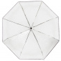 Transparent Pvc Black Umbrella - Isotoner