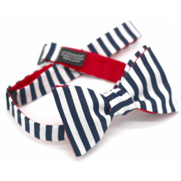 Striped Cotton Bow Tie - Le Coq En Pap