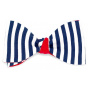 Striped Cotton Reverse Bow Tie - Le Coq En Pap
