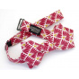 Japanese Red Amaranth Bow Tie - Le Coq En Pap