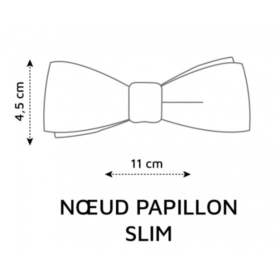 Paisley Pattern Bow Tie - Le Coq En Pap