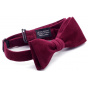 Bordeaux Velvet Bow Tie - Le Coq En Pap