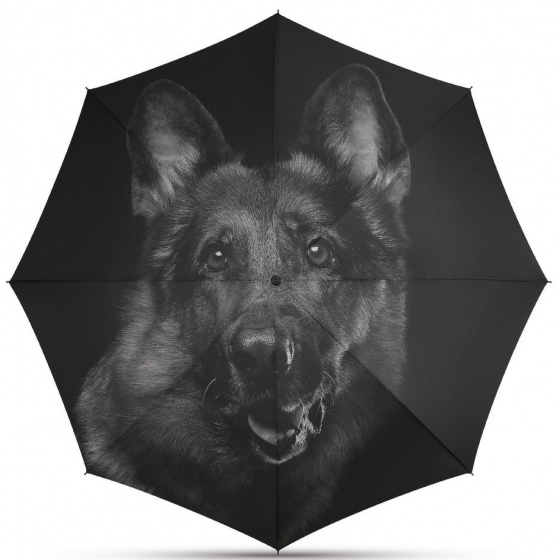 Automatic Folding Dog Head Umbrella - Happy Rain