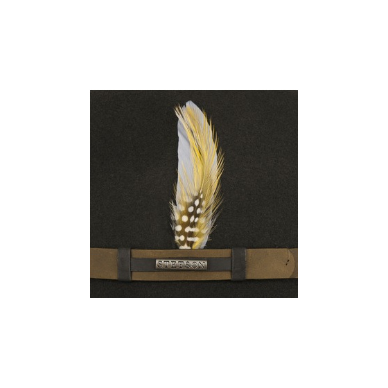 Chapeau Traveller Sardis Marron - Stetson