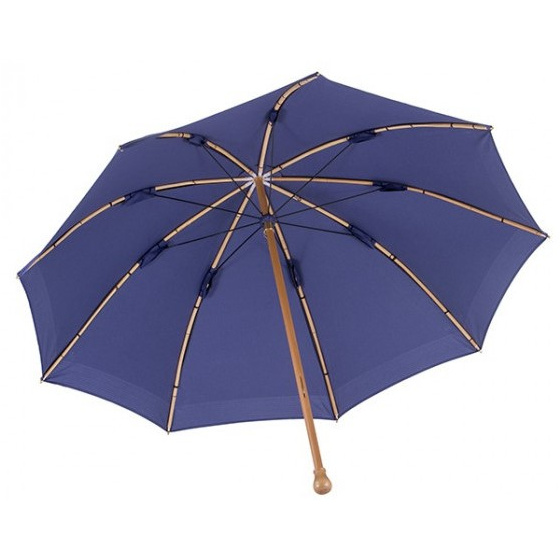 Parapluie De Berger Bleu