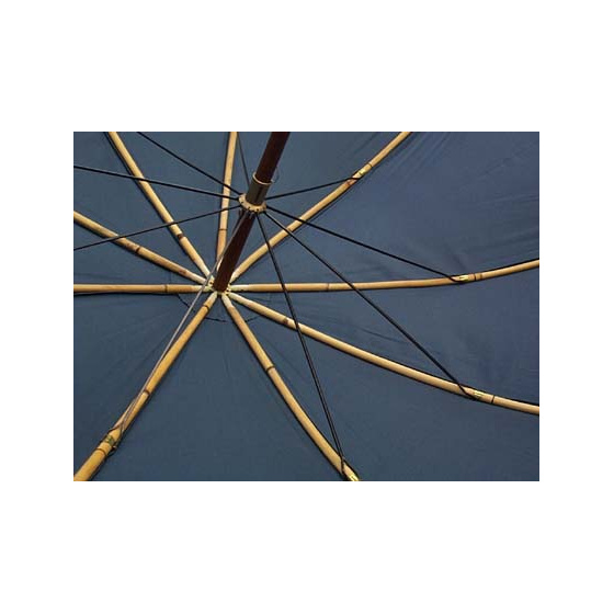 Blue Shepherd's Umbrella Blue Shepherd's Umbrella
